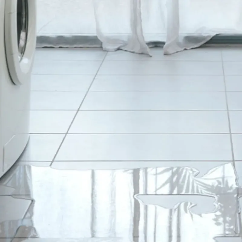 Appliance Leak Cleanup in Evansville, WI