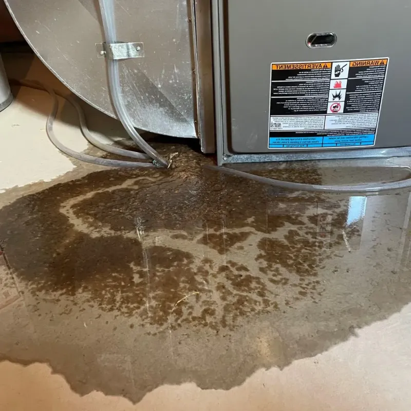 Pipe Burst and Leak Restoration in Evansville, WI