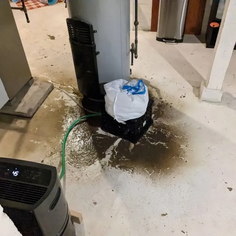 Sewage Backup Cleanup Service in Evansville, WI